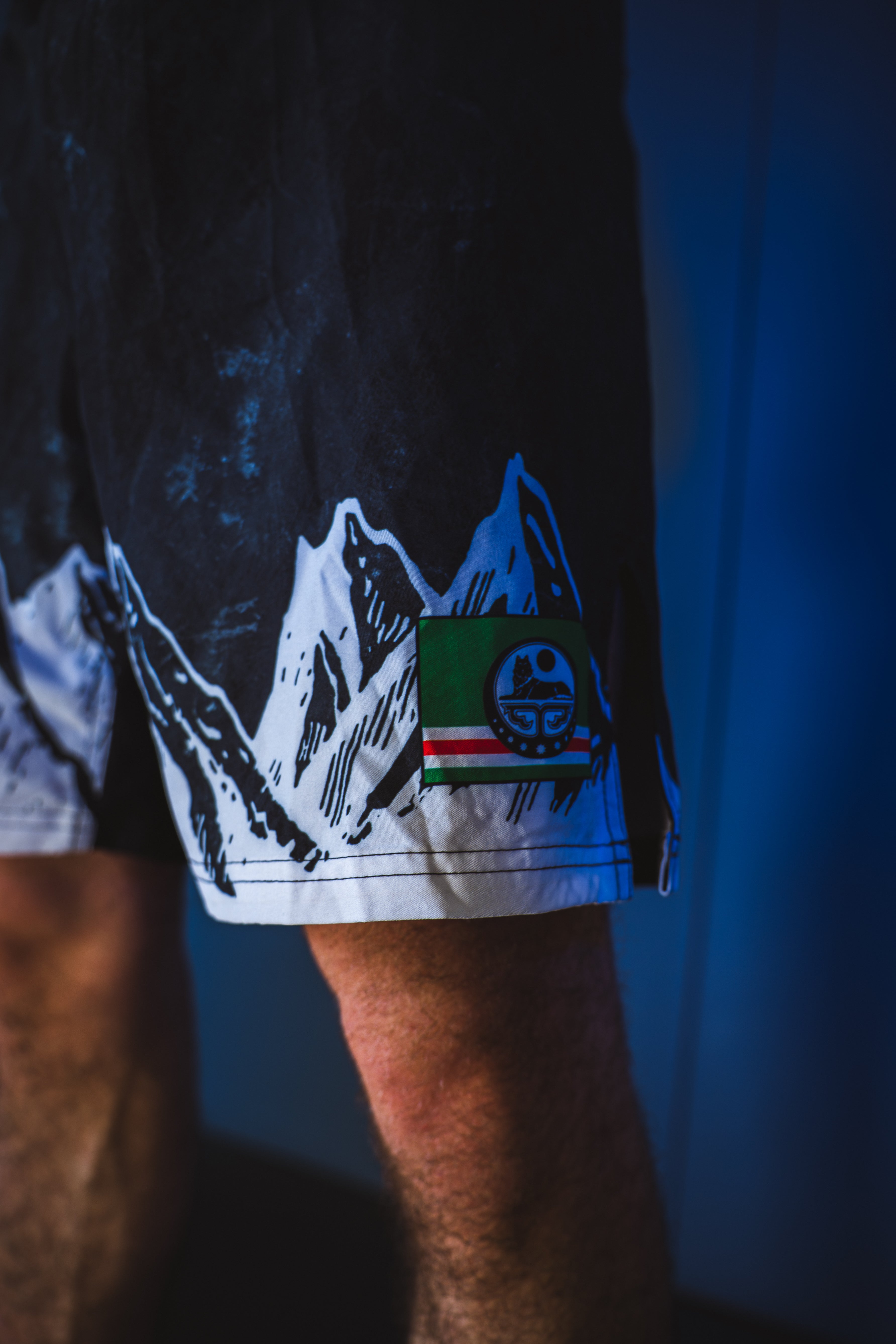 Shorts Image